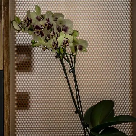 The Boutique 2* Naples